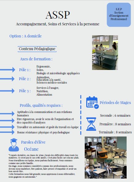 Affiche Bac Pro ASSP