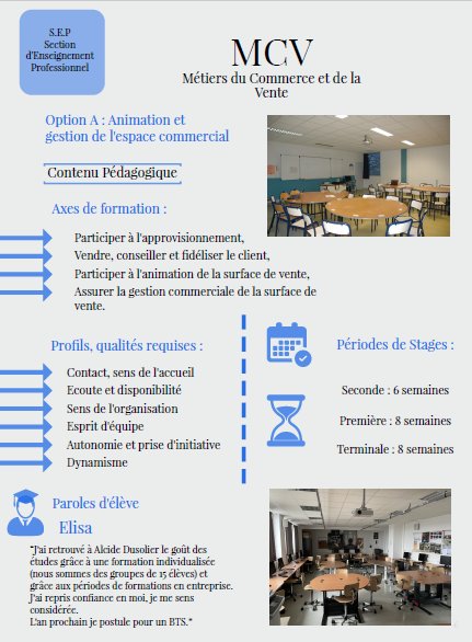 Affiche Bac Pro MCV